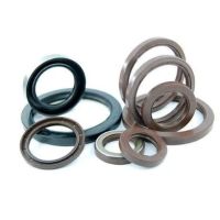 Fluorocarbon Seals – Fluorocarbon (Viton/FKM) Seals for High Temp &amp; Chemical Resistance, Excellent Oil Resistance, Leak Proof Performance
